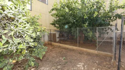 Terraced house in Les Cases D'Alcanar photo 18