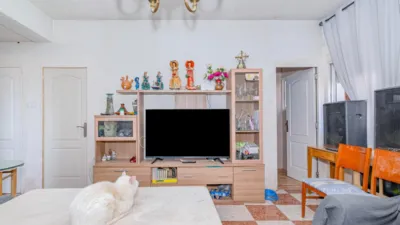 House in Carril de Don Cecilio photo 5