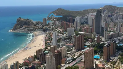 Apartment at Playa de Poniente photo 18