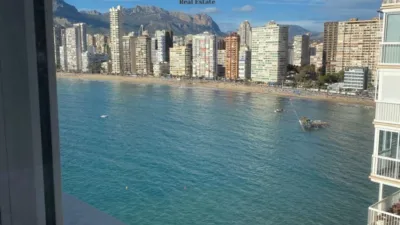 Pis – Benidorm - Vista 3