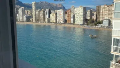 Pis – Benidorm - Vista 4