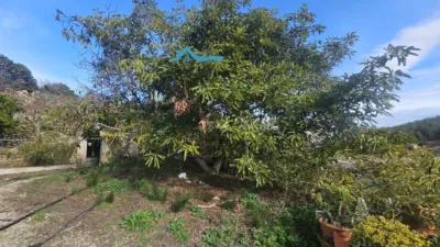 Rustic Finca in the Northern Costa Blanca photo 43