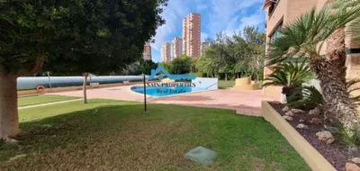 Apartment in Levante photo 24