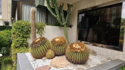 Apartment in Pueblo Levante photo 29
