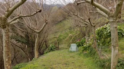 Finca rústica en venta en Calle Kurpidea Auzoa Auzoa, Número 7, Aia de 825.000 €