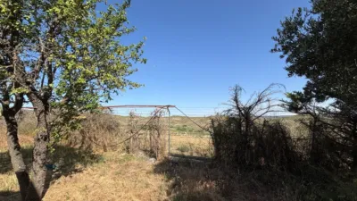 Rustic Finca on Avenida de las Naciones photo 34