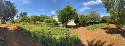 Chalet en venta en Calle Pago Hozanejos - Más