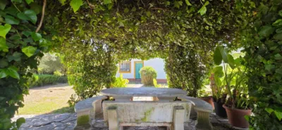 Chalet in Pelagatos - Pago del Humo photo 3