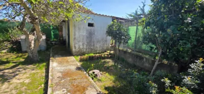 Chalet in Pelagatos - Pago del Humo photo 7