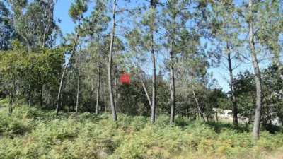 Terreno en venta en Lugar do Queiroal - Vista 4