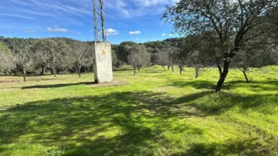 House on Calle 14300 photo 26