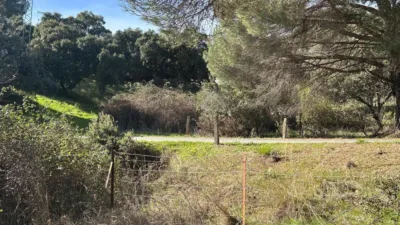 House on Calle 14300 photo 36