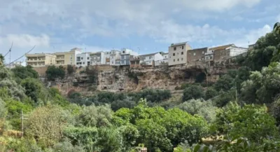 House in Andalusia photo 42