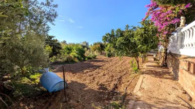 Rustic finca on Calle Diseminado Huertos San Roque photo 16