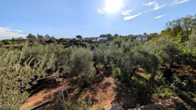 Rustic finca on Calle Diseminado Huertos San Roque photo 17