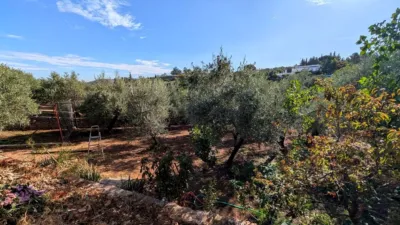 Rustic finca on Calle Diseminado Huertos San Roque photo 18
