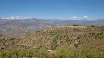 Rustic Finca on Avenida Andalucia, No. 30 photo 22