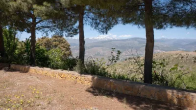 Rustic Finca on Avenida Andalucia, No. 30 photo 40