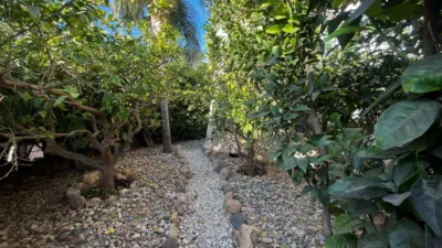 Chalet en Cala Marques photo 84