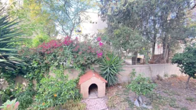 Chalet in Alameda Cervantes - El Gato photo 6