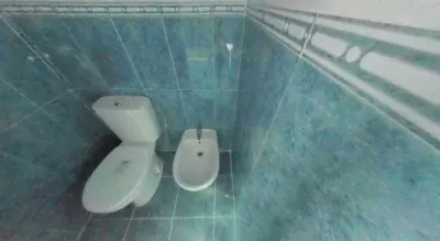 Apartment in Feria-Alameda photo 21