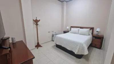 Flat in La Huerta photo 8