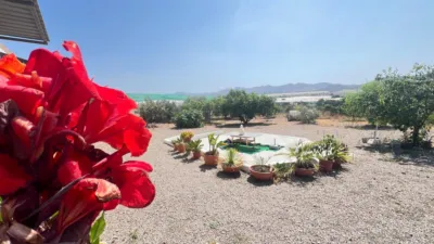 Rustic Finca in Tebar photo 10
