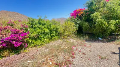 Rustic Finca in Tebar photo 3