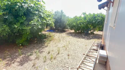 Rustic Finca in Tebar photo 45