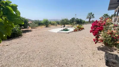 Rustic Finca in Tebar photo 47