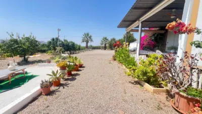 Rustic Finca in Tebar photo 49