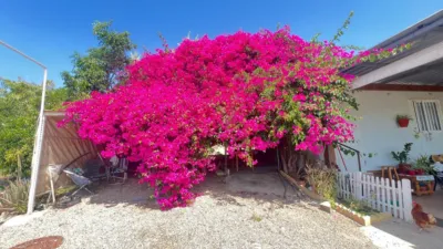 Rustic Finca in Tebar photo 7