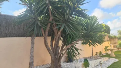 Chalet en venta en Calle Fuensalida, 14, Casco Urbano (Vera) de 365.000 €
