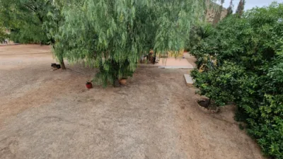 Rustic Finca in Pastrana photo 17
