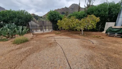 Rustic Finca in Pastrana photo 9
