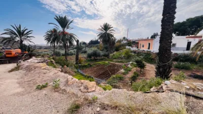 Rustic finca in Pilar de Jaravía photo 85