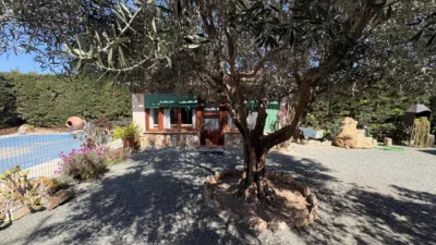 House in La Hoya-Almendricos-Purias photo 34
