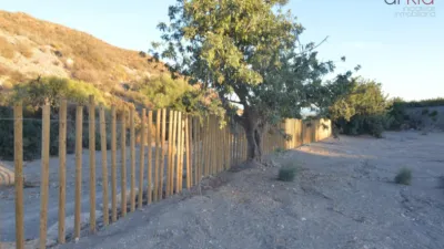 Rustic finca in Tébar - los Arejos photo 26