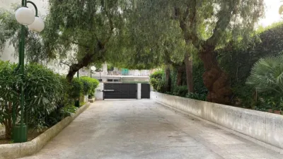 Ground floor flat on Carrer de la Riera photo 21