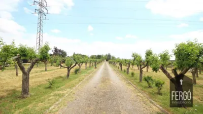 Finca rústica en venta en Calle de Juan Antonio Posse, Trobajo del Camino (San Andrés del Rabanedo) de 620.000 €