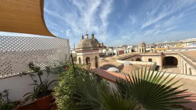 Apartment in Buhaira - Huerta del Rey photo 46