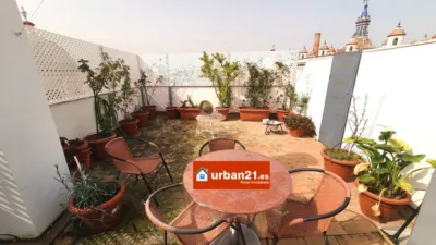 Apartment in Buhaira - Huerta del Rey photo 47