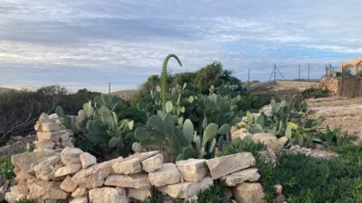 Chalet in El Palmeral-Urbanova-Tabarca photo 12