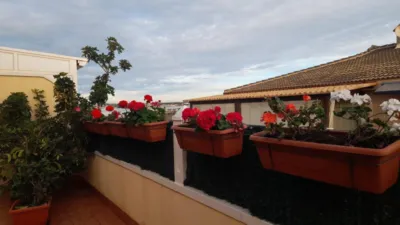Chalet in El Palmeral-Urbanova-Tabarca photo 8