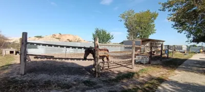 Finca rústica en venta en Casetas-Garrapinillos-Monzalbarba, Casetas-Garrapinillos-Monzalbarba (Zaragoza Capital) de 217.000 €