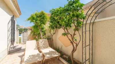 Semi-detached house on Calle de Nicolás Bussi photo 35