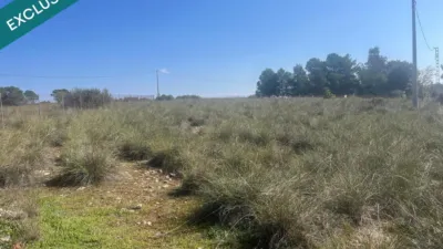 Terreno en venta en Almansa - Vista 2