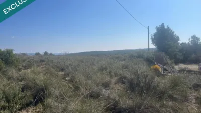 Terreno en venta en Almansa - Vista 4