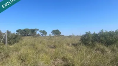 Terreno en venta en Almansa - Vista 5