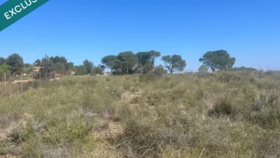 Terreno en venta en Almansa - Més